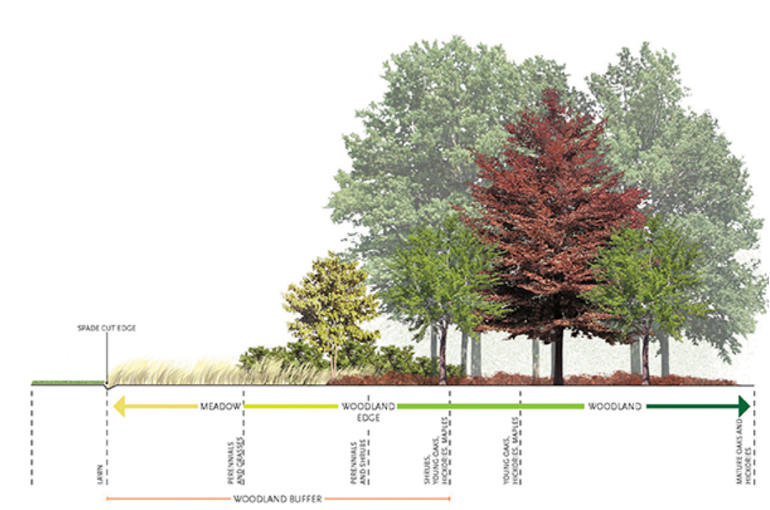 Development Plan